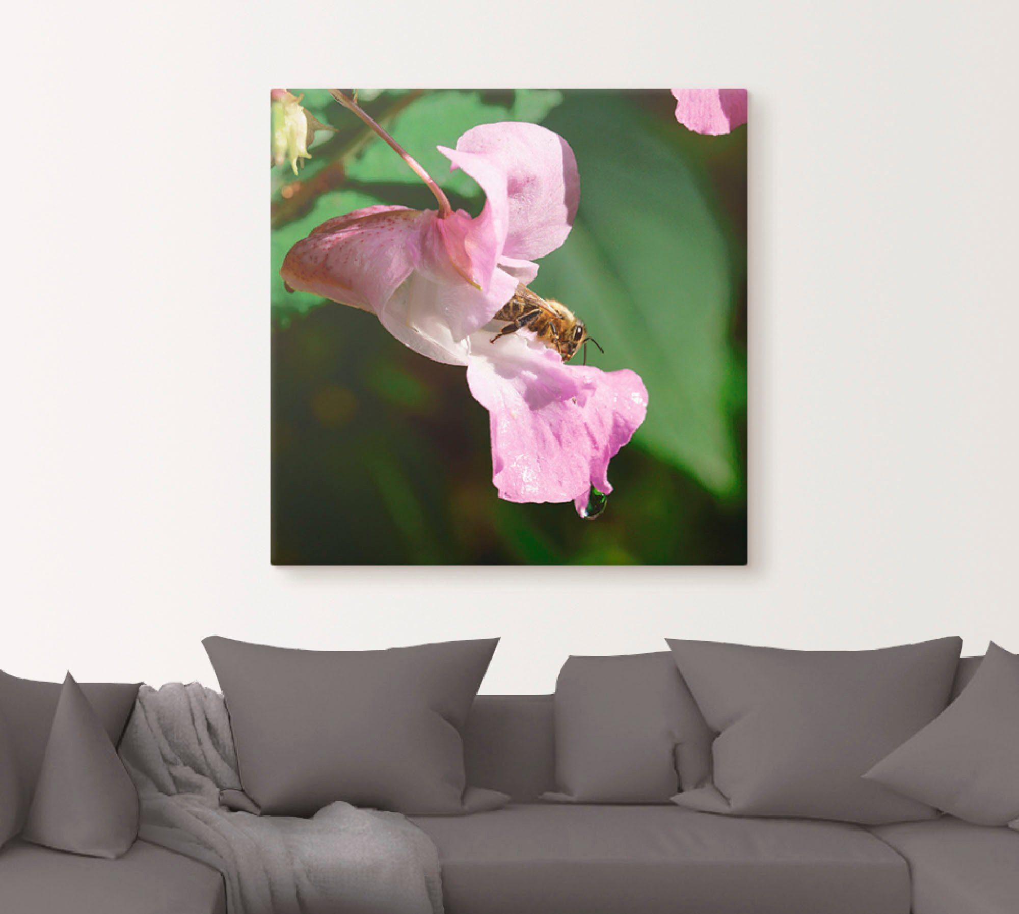 Artland Artprint Een bij bezoekt een grote bloem als artprint van aluminium, artprint op linnen, muursticker of poster in verschillende maten