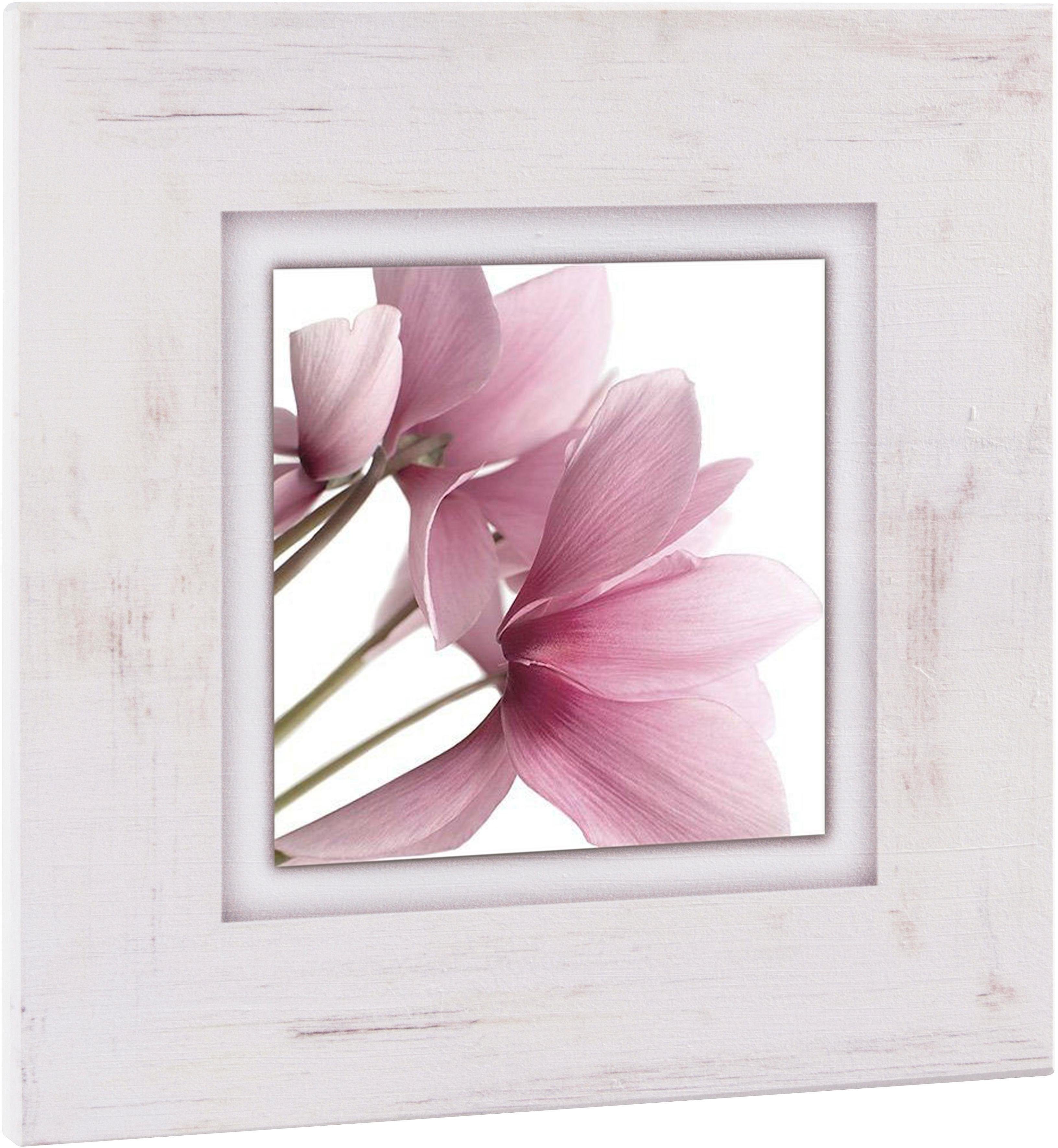 Home affaire Artprint op hout Roze viooltje 40/40 cm