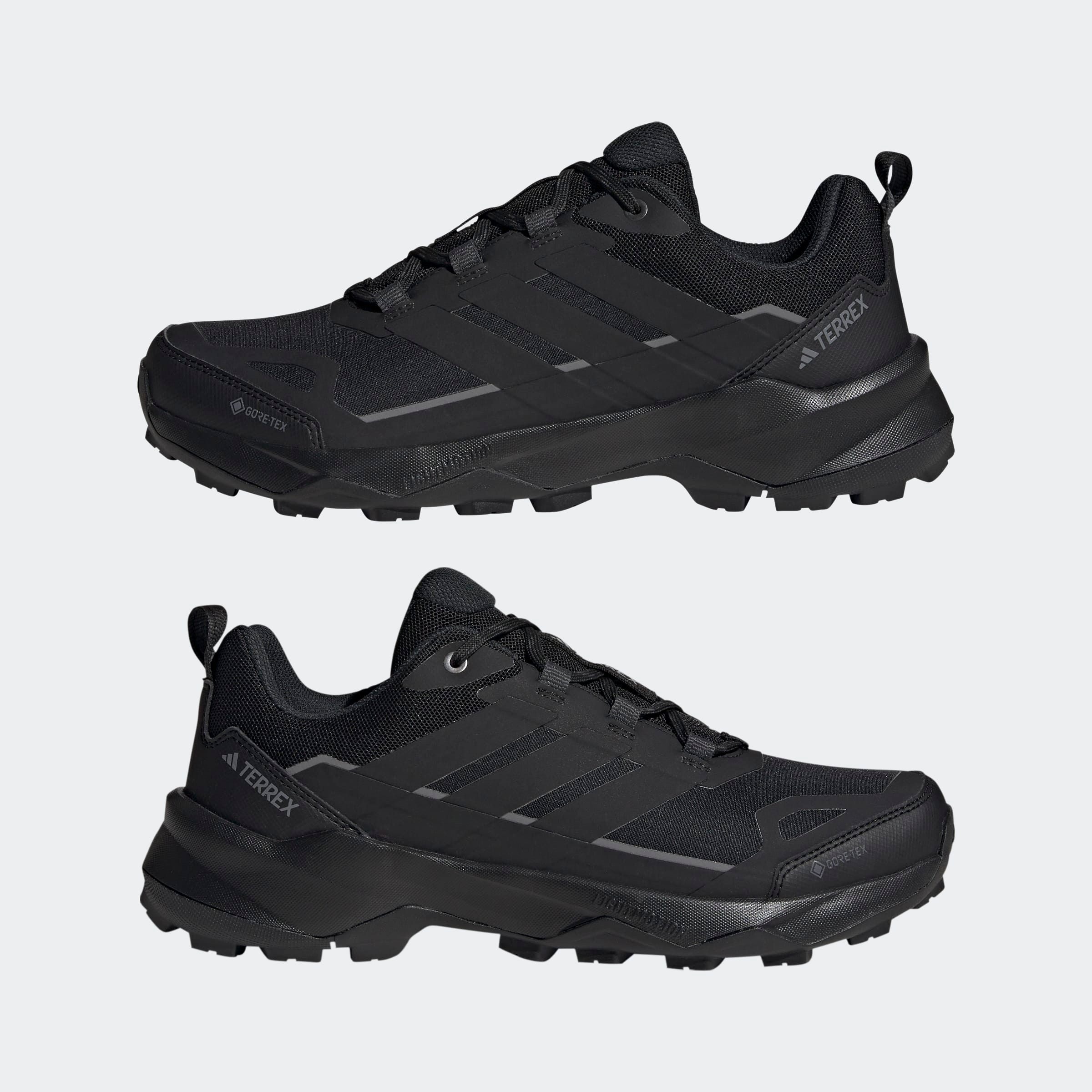 adidas TERREX Wandelschoenen TERREX SKYCHASER AX5 GORE-TEX E