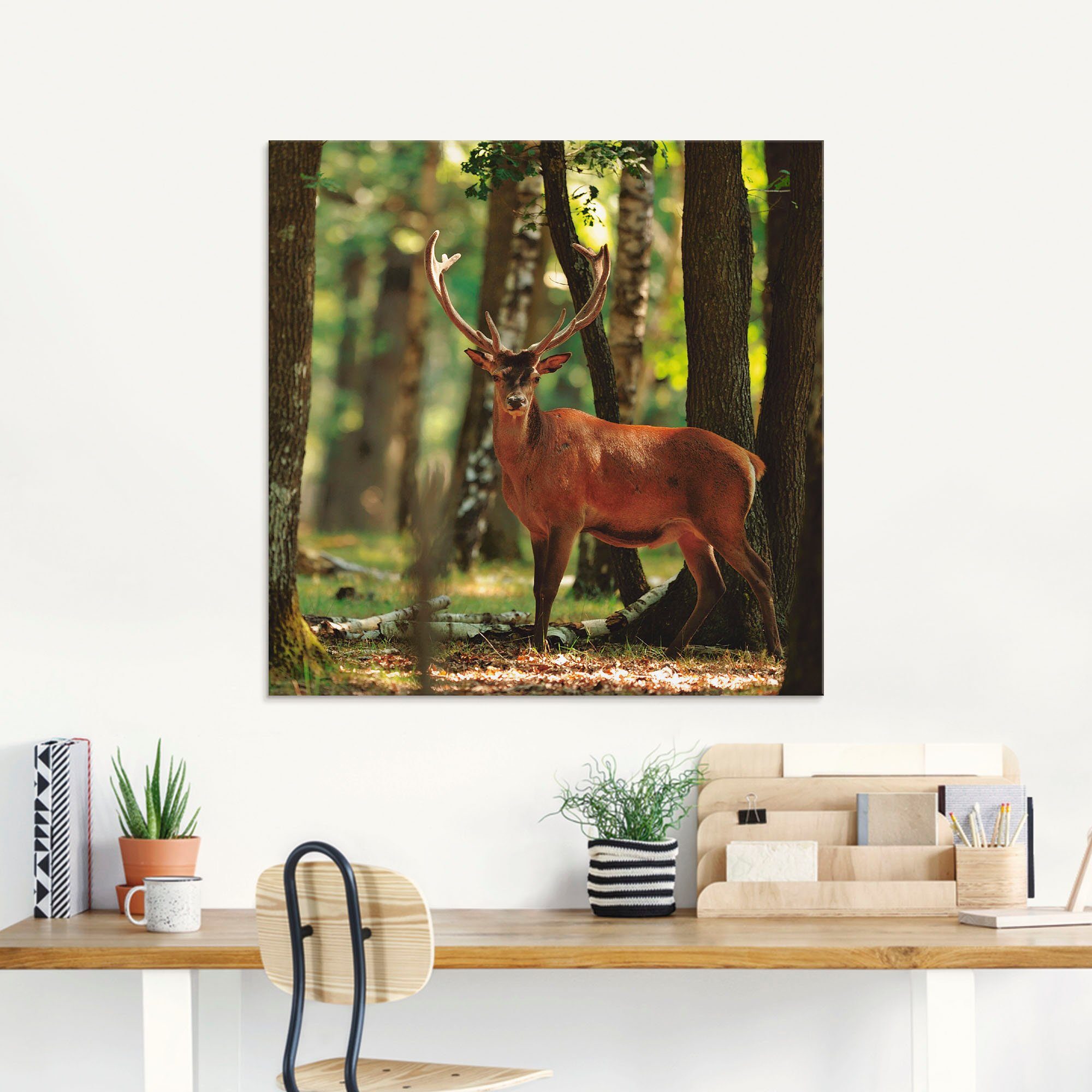 Artland Print op glas Edelhert 4 - bos in verschillende maten
