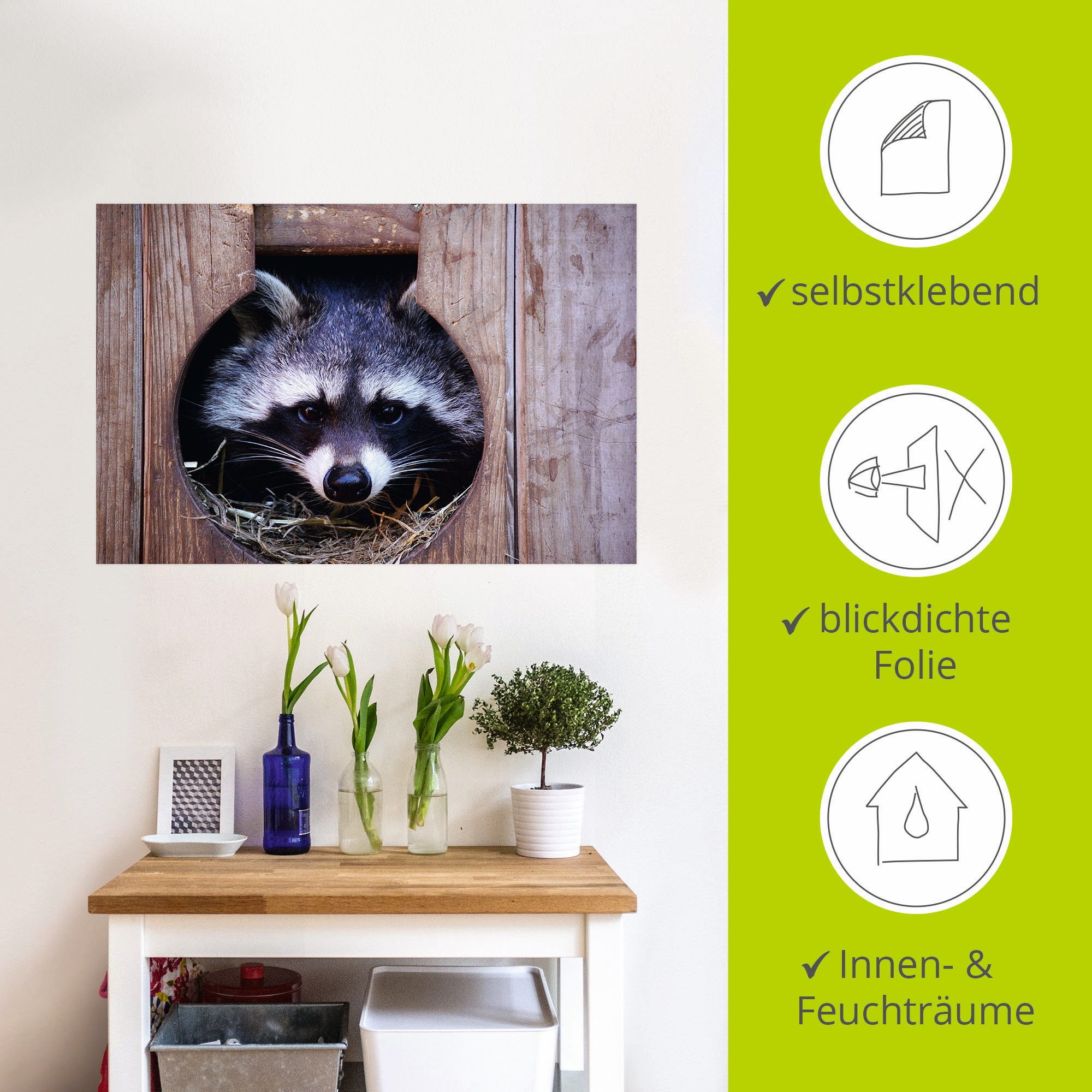 Artland Artprint Schattige kleine wasbeer als artprint op linnen, muursticker in verschillende maten