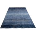timbers vloerkleed nebraska design met strepen en kleurverloop, met een stijlvolle glans, viscose, woonkamer blauw