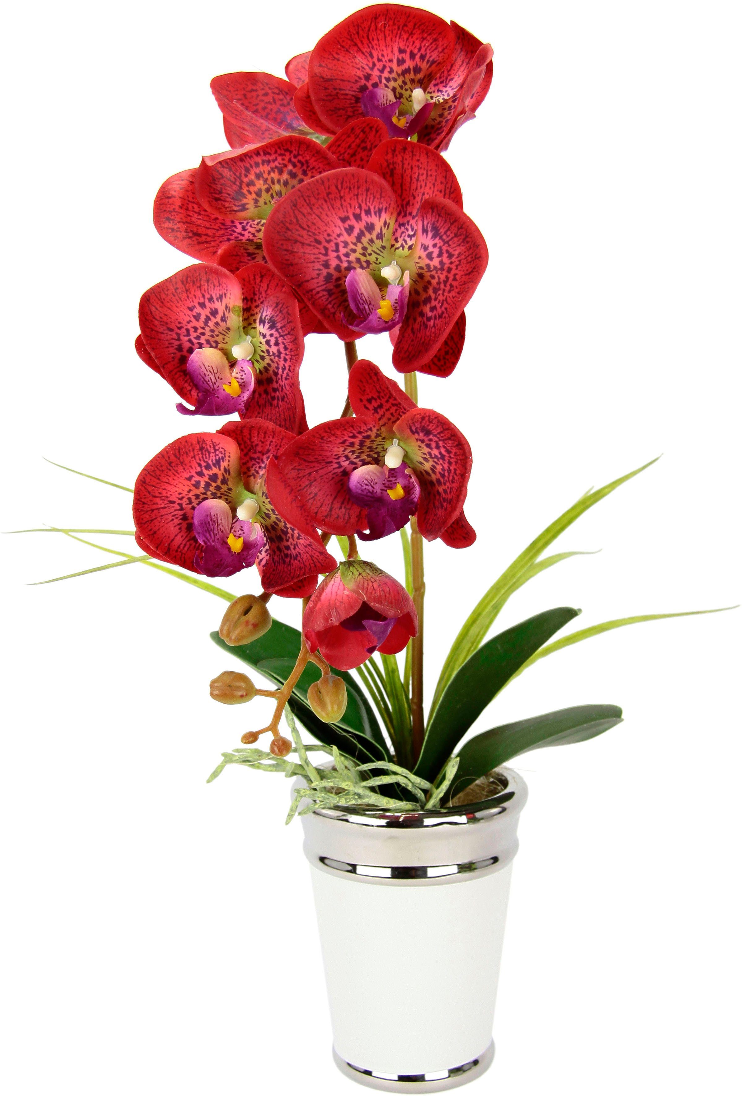 I.GE.A. Kunstbloem Orchidee in pot, van keramiek, zijdenbloem real touch