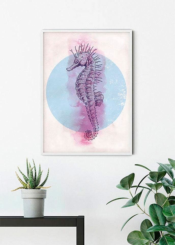 Komar Wanddecoratie Sea Horse Circle Wanddecoratie - zonder lijst (1 stuk)