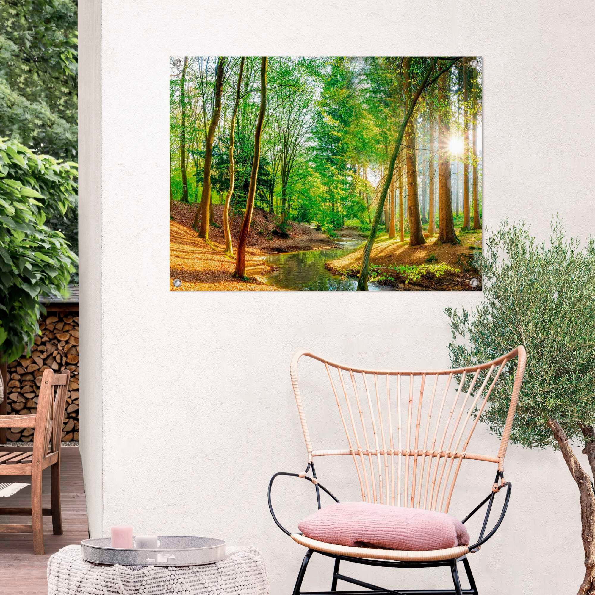 Reinders! Poster Zonnig bos