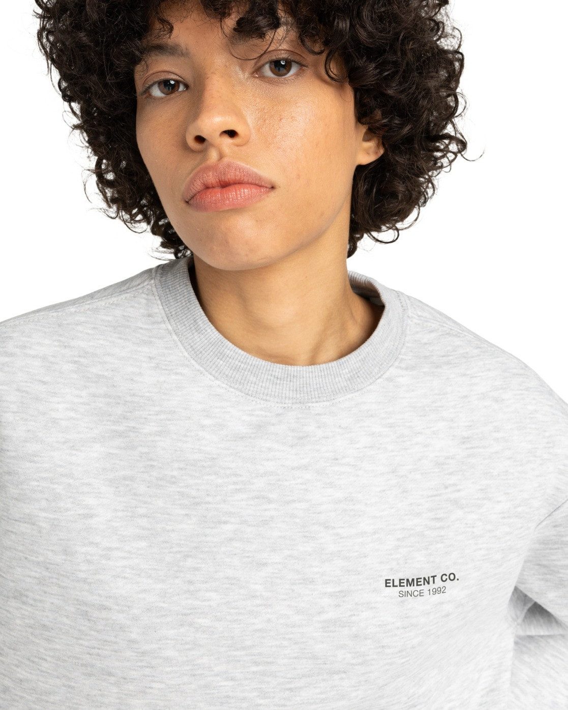 Element Sweatshirt Element Co