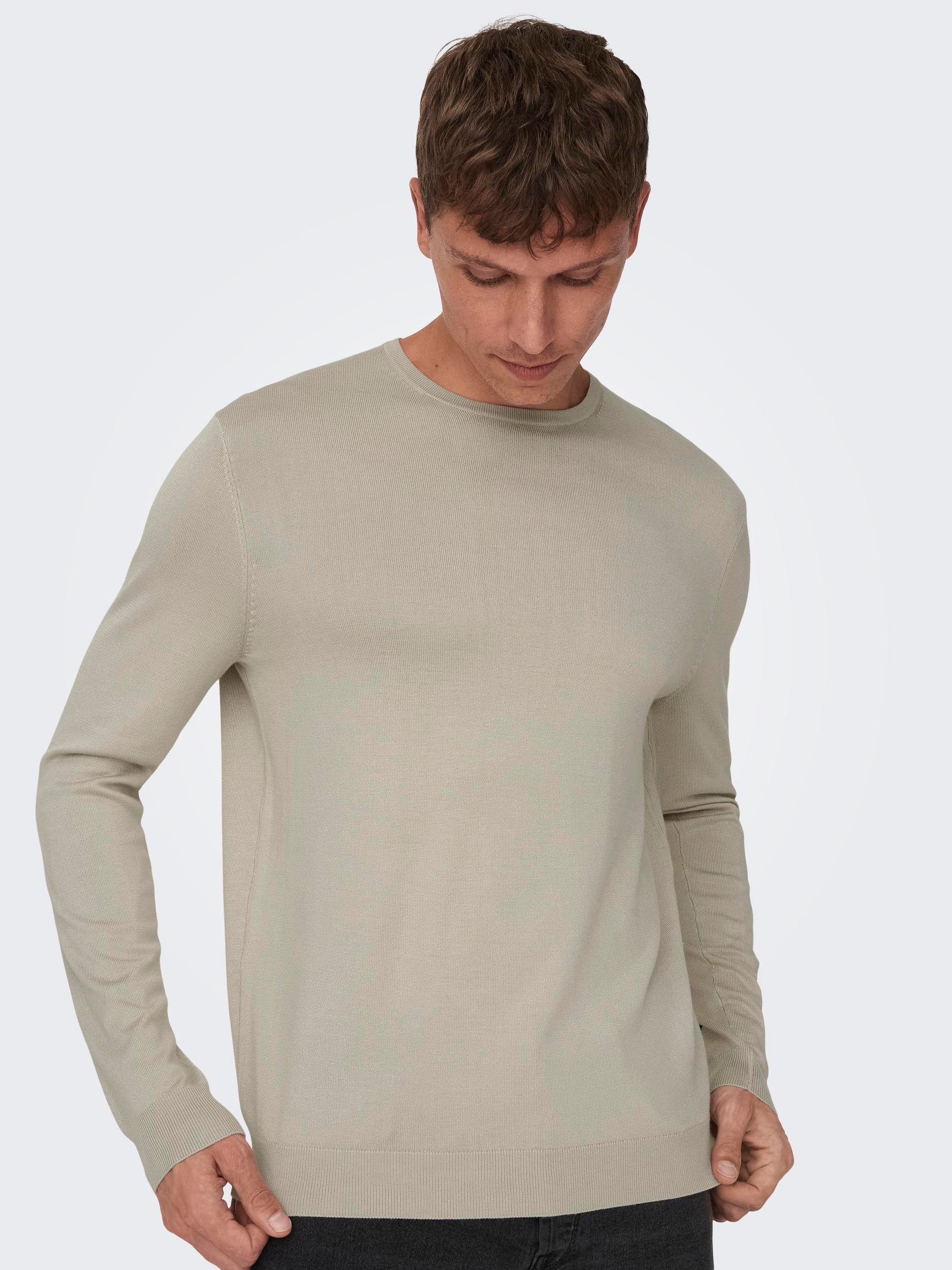 ONLY & SONS Trui met ronde hals ONSWYLER LIFE REG 14 LS CREW KNIT NOOS