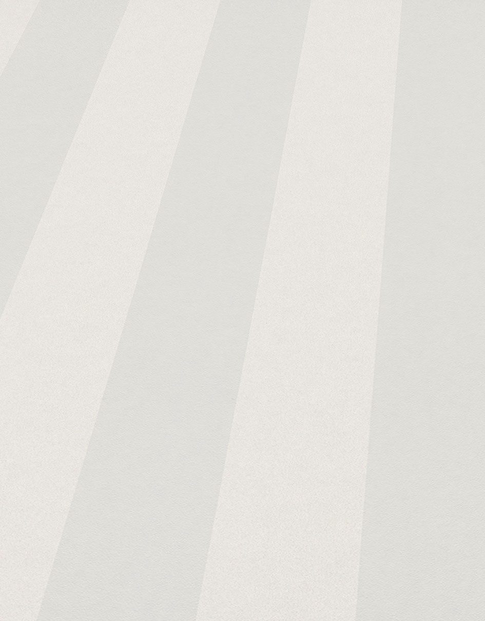 Erismann Vliesbehang PVC-vrije vliesbehang DYLIS (1 stuk)