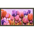 my home artprint met lijst cortese - campo di tulipani (1 stuk) multicolor