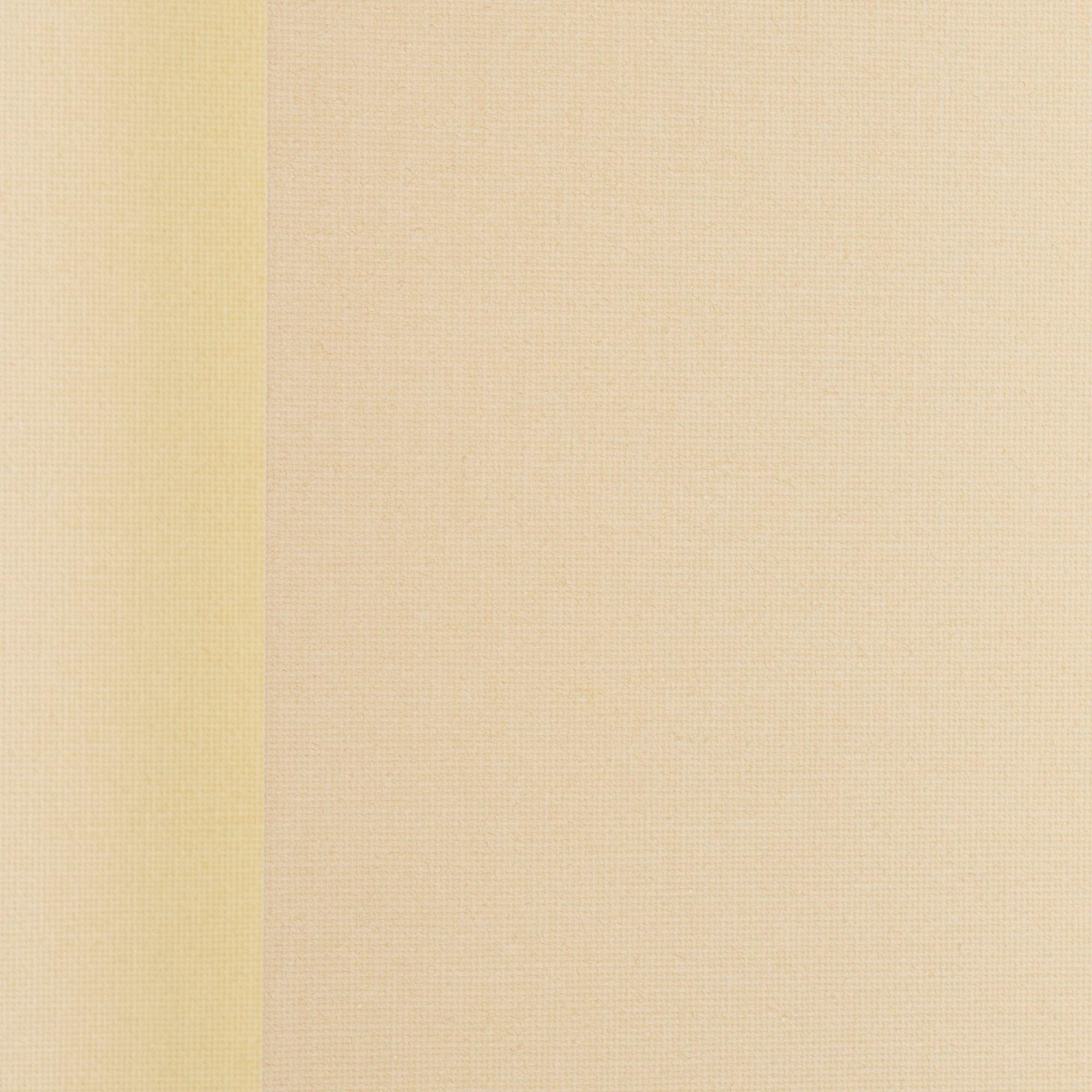 Liedeco Lamellengordijn verticaal gordijn perlex - 127 mm lamel (1 stuk)