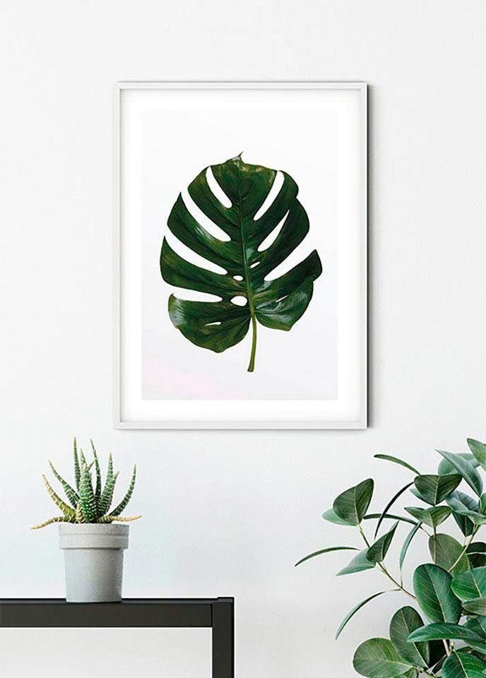 Komar Wanddecoratie Monstera Leaf Wanddecoratie - zonder lijst (1 stuk)