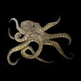 leonique artprint op acrylglas octopus goud