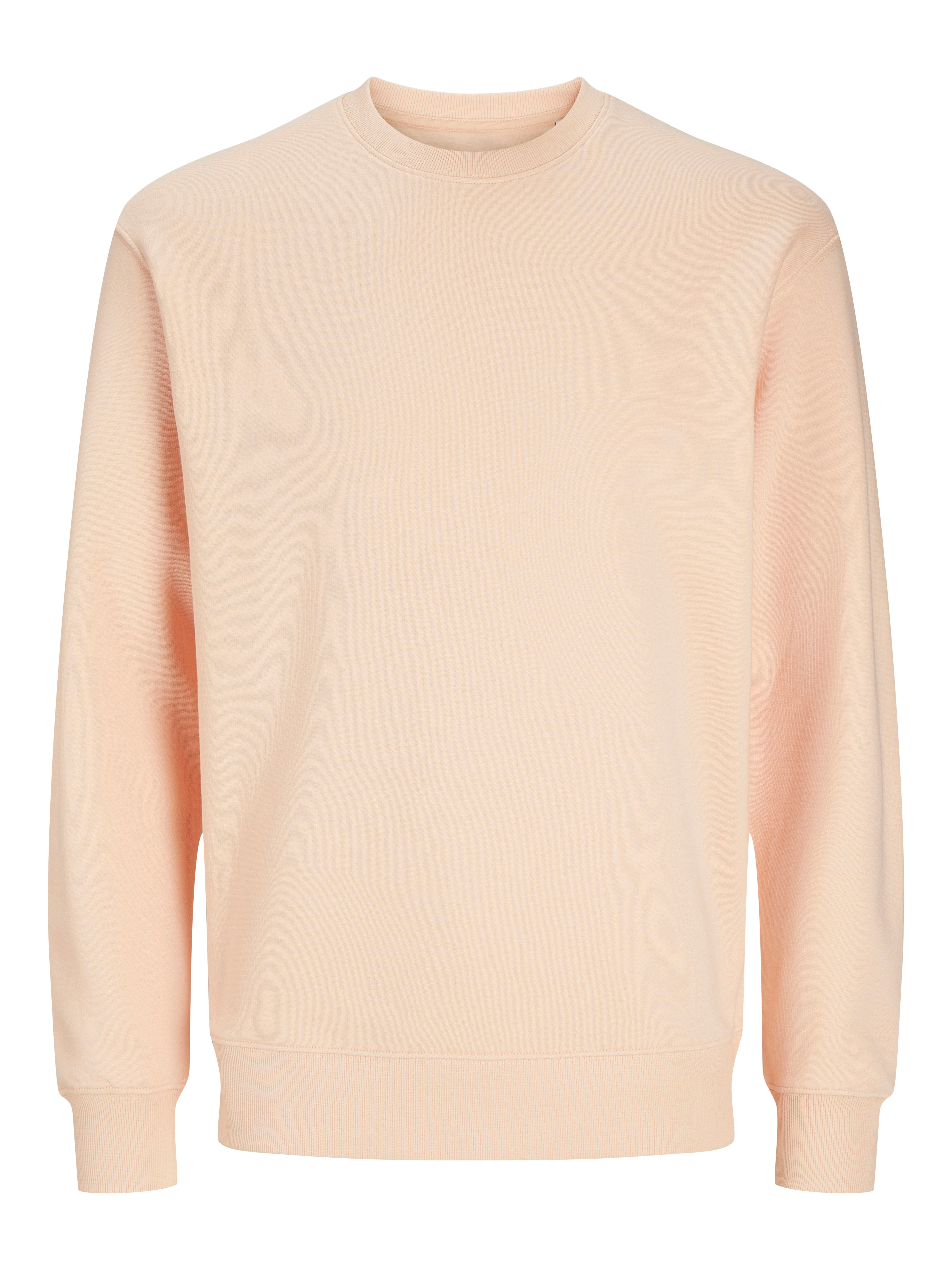 Jack & Jones Sweatshirt JJESTAR BASIC SWEAT CREW NECK NOOS