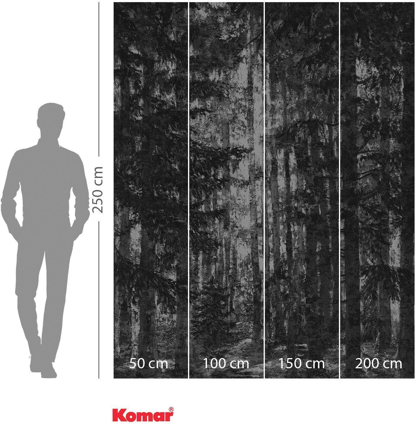 Komar Vliesbehang Digitale print vlies - Lustres Lapland - Afmeting 200 x 250 cm (1 stuk)