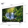 tcl led-tv 43p616x2, 108 cm - 43 ", 4k ultra hd, android tv, android 9.0-besturingssysteem zwart