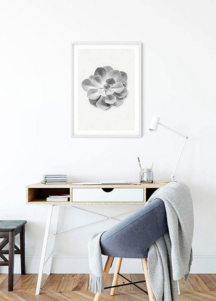 Komar Wanddecoratie Succulent Aeonium Wanddecoratie - zonder lijst (1 stuk)