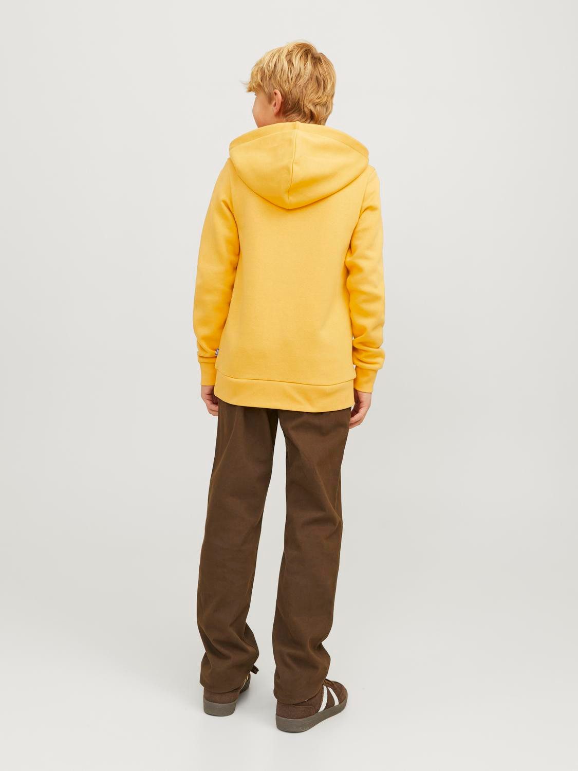 Jack & Jones Junior Hoodie JJELOGO SWEAT HOOD 2 COL 24 25 NOOS JNR