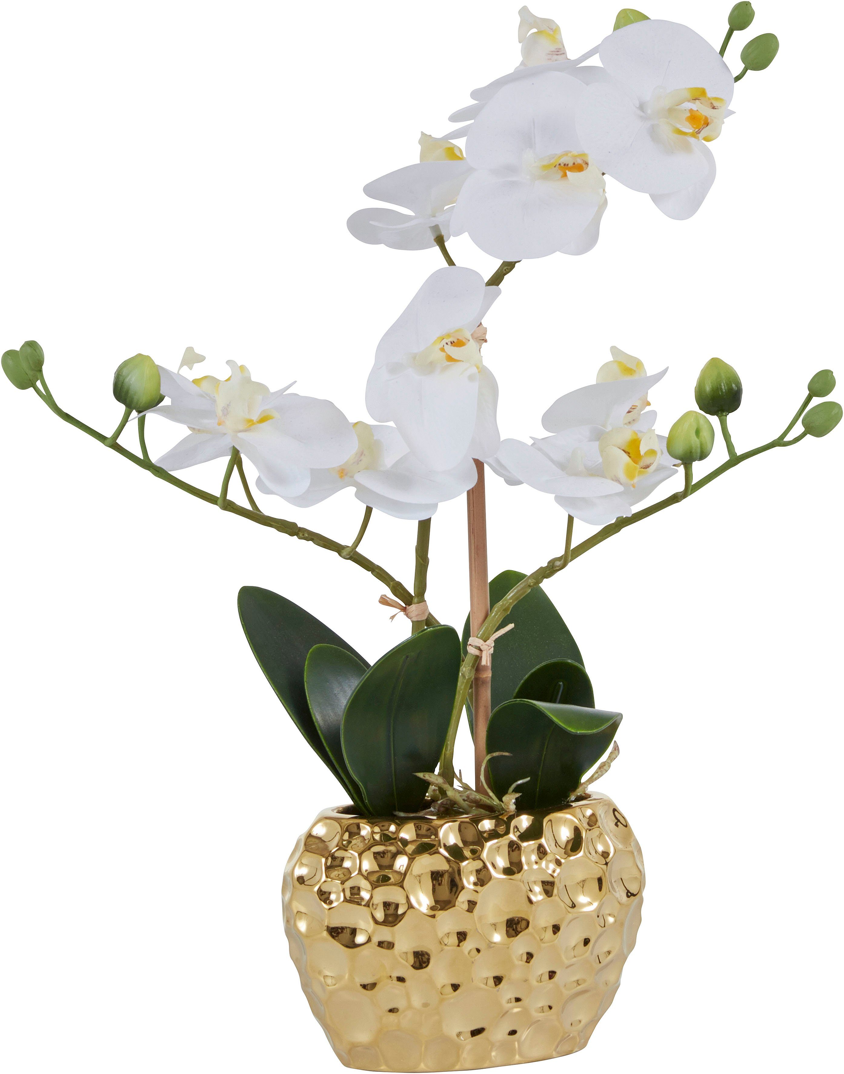 Leonique Kunstplant Orchidee Kunstorchidee, in pot, bestseller, meer dan 2500 4,5-sterren...