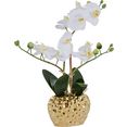 leonique kunstplant orchidee kunstorchidee, in een pot wit