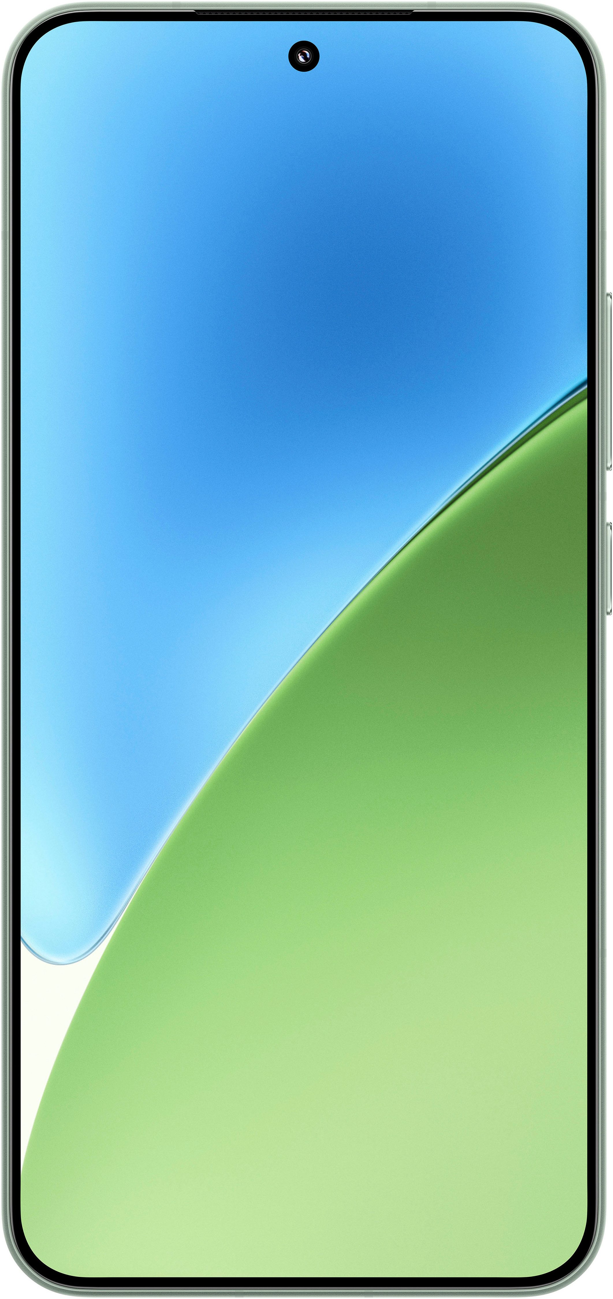 Xiaomi Smartphone 15 12+512GB