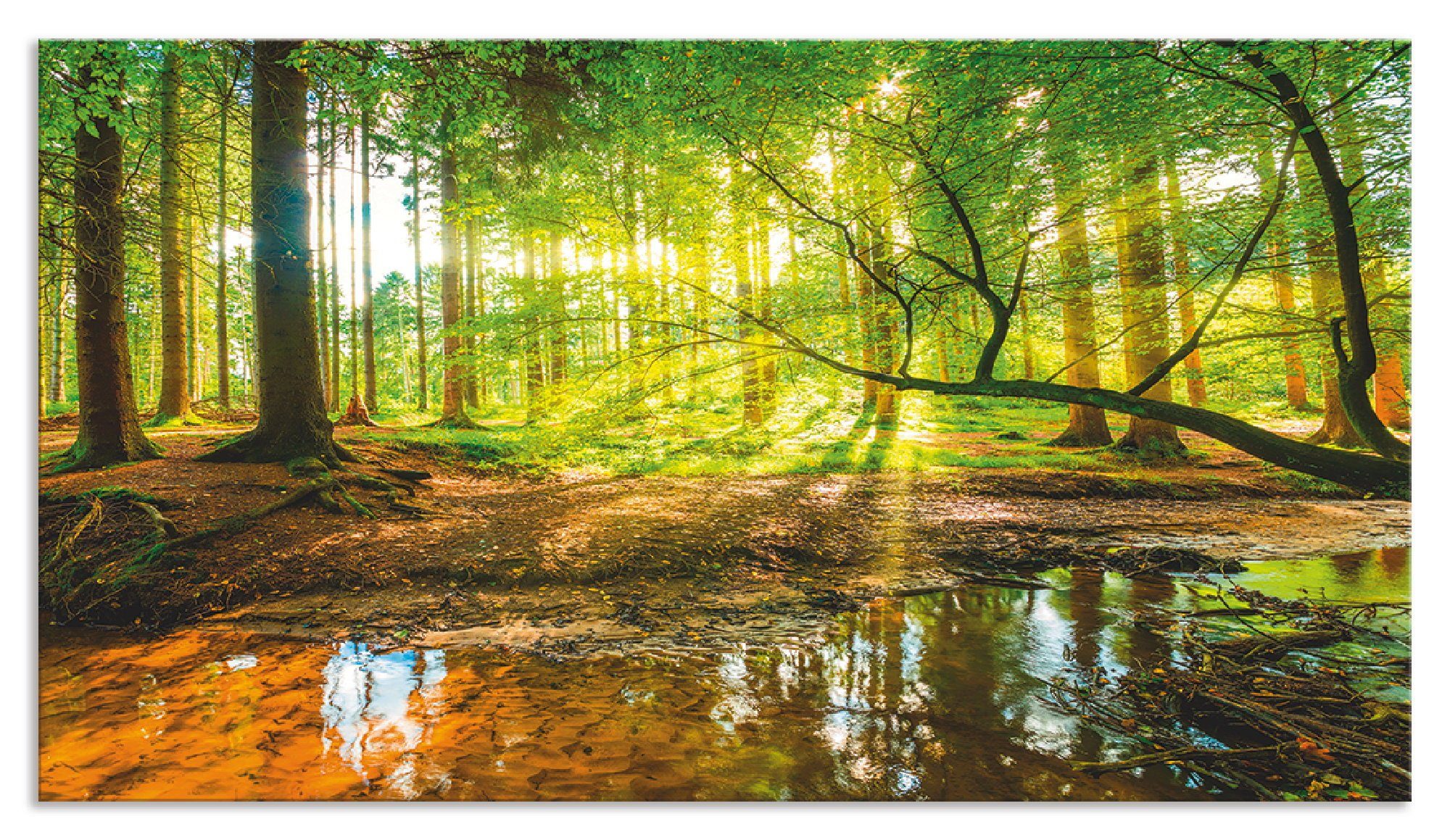 Artland Keukenwand Bos met beek zelfklevend in vele maten - spatscherm keuken achter kookplaat en spoelbak als wandbescherming tegen vet, water en vuil - achterwand, wandbekleding