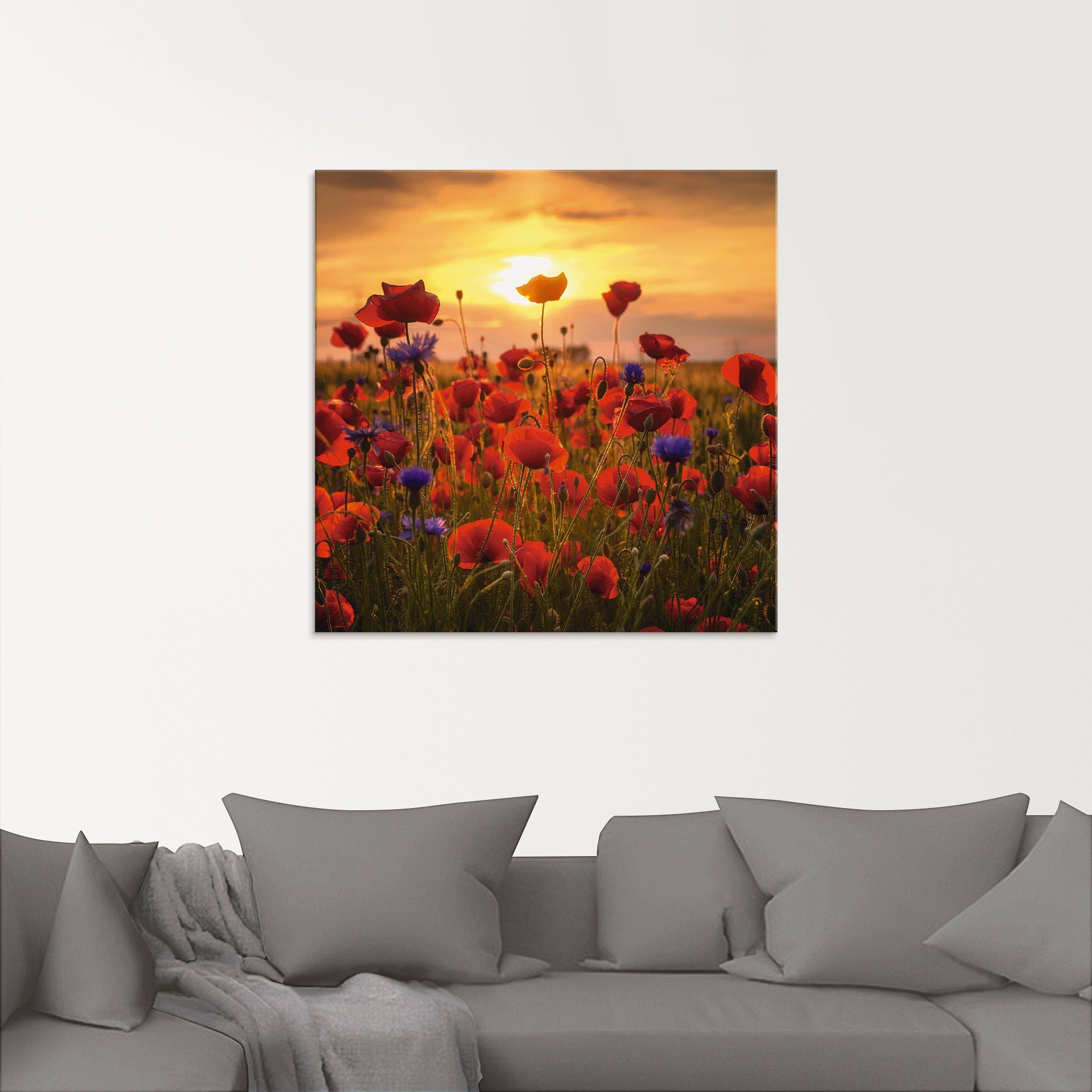 Artland Print op glas Klaprozen in het avondlicht