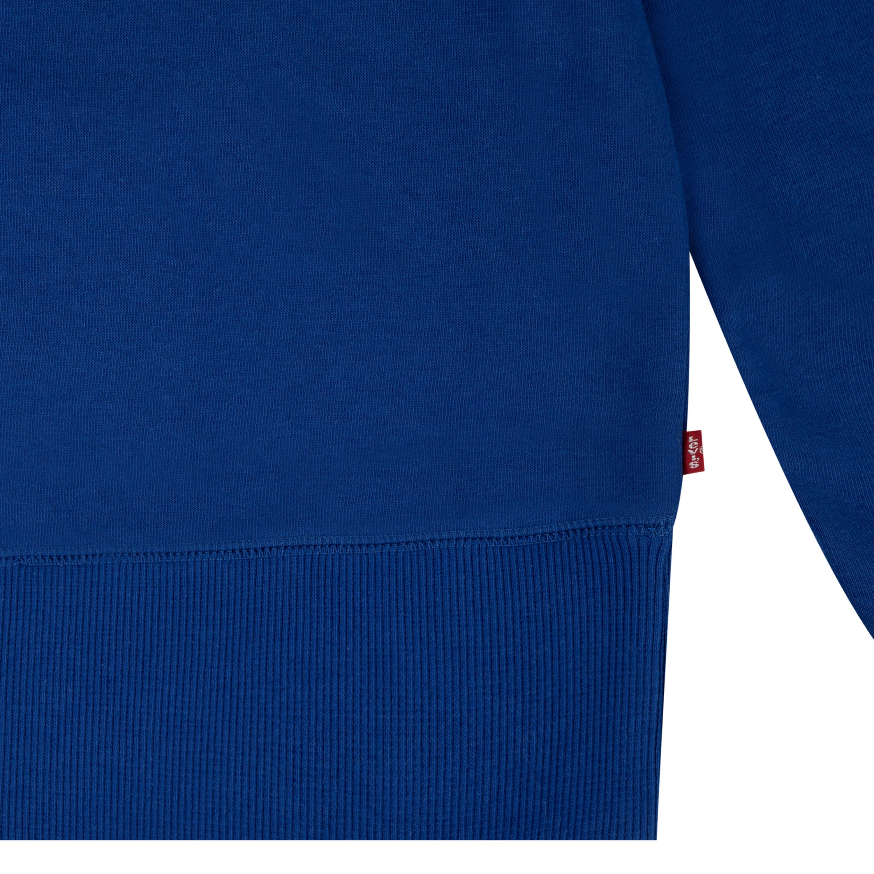Levi's Kidswear Sweatshirt LVB LVB FRENCH TERRY BATWING