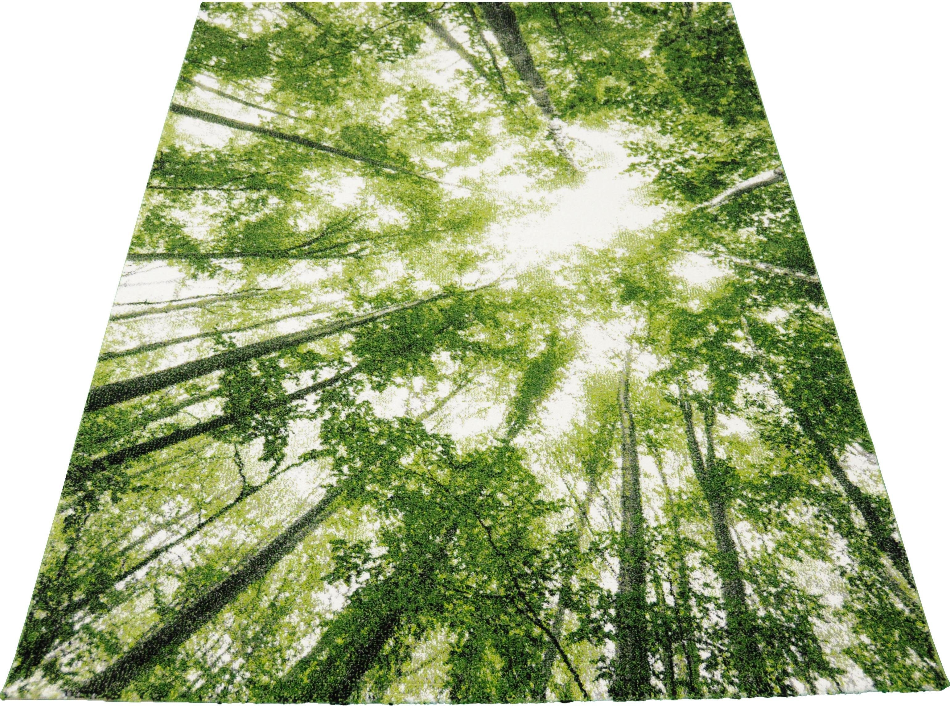 merinos Vloerkleed BELIS BOMEN Laagpolig vloerkleed, natuur bos motief, voor alle kamers