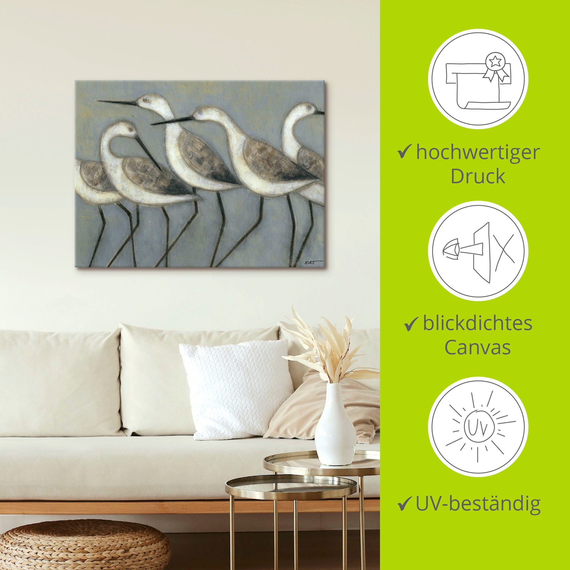 Artland Artprint Kustvogels I als artprint van aluminium, artprint voor buiten, artprint op linnen, poster in verschillende maten. maten