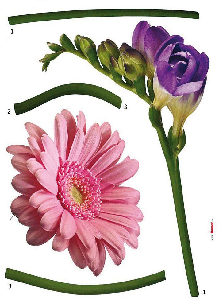 komar wandfolie fiore 50x70 cm (breedte x hoogte), zelfklevende wandtattoo (set, 5-delig) multicolor