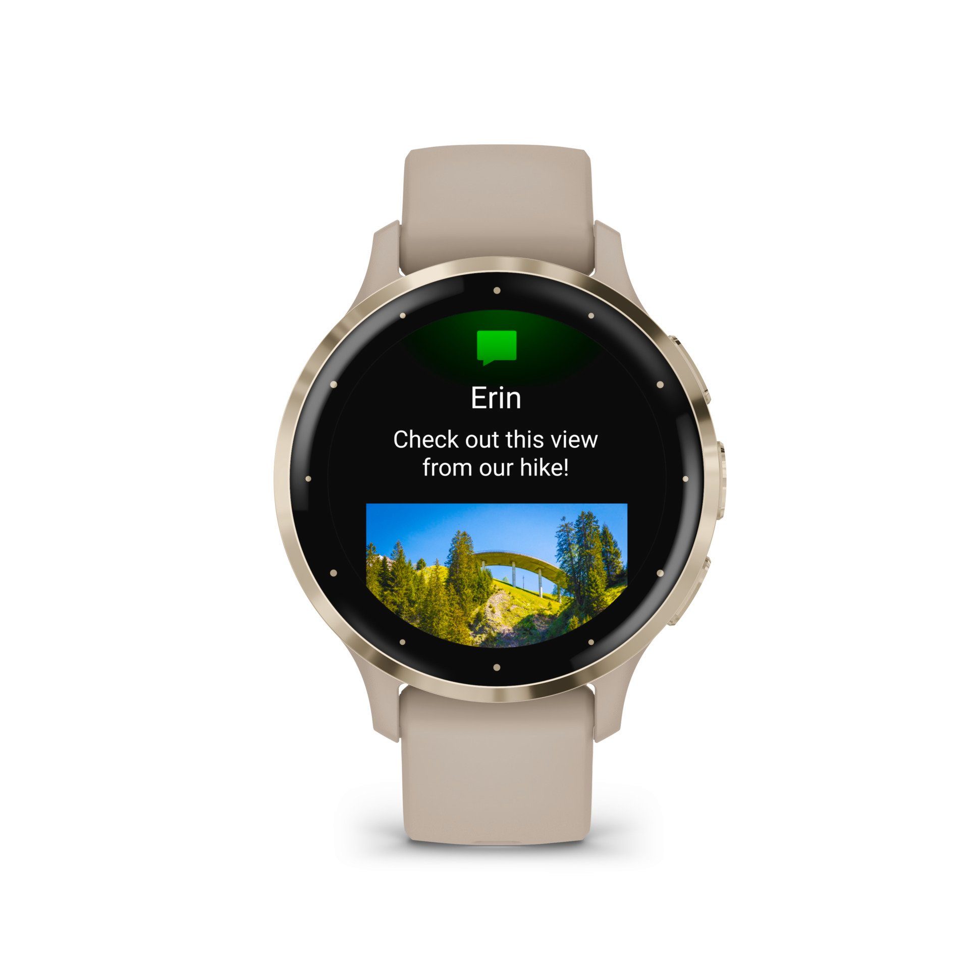 Garmin Smartwatch VENU 3S