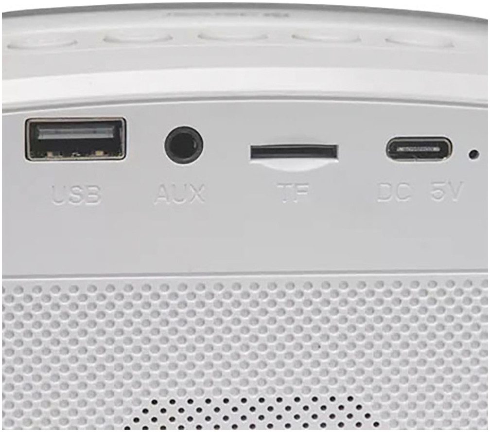 Denver Bluetooth luidspreker BTM-610 met karaoke-functie