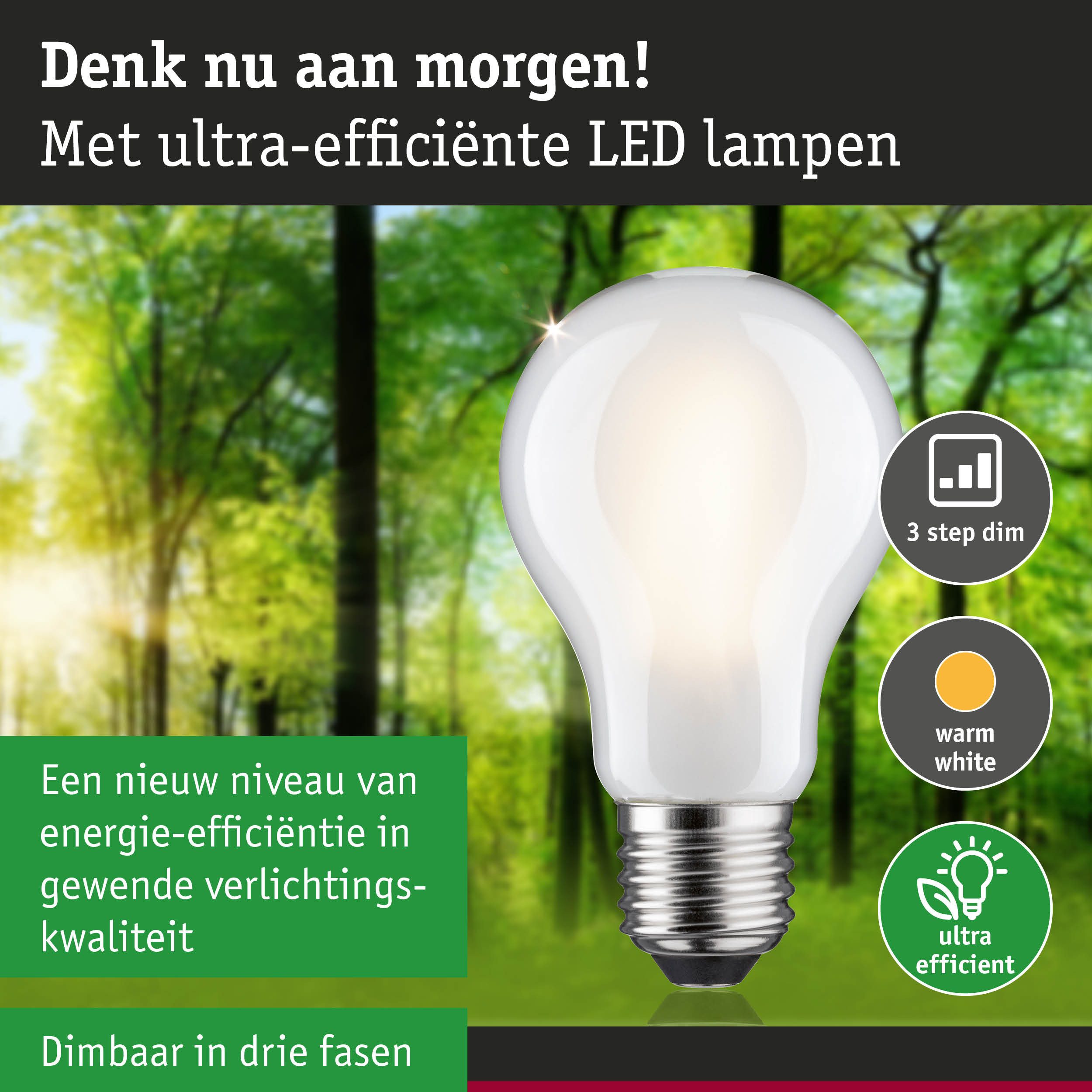 Paulmann Led-verlichting Eco-Line filament 230V LED-lamp E27 470lm 2,5W 3000K dimbaar mat (1 stuk)