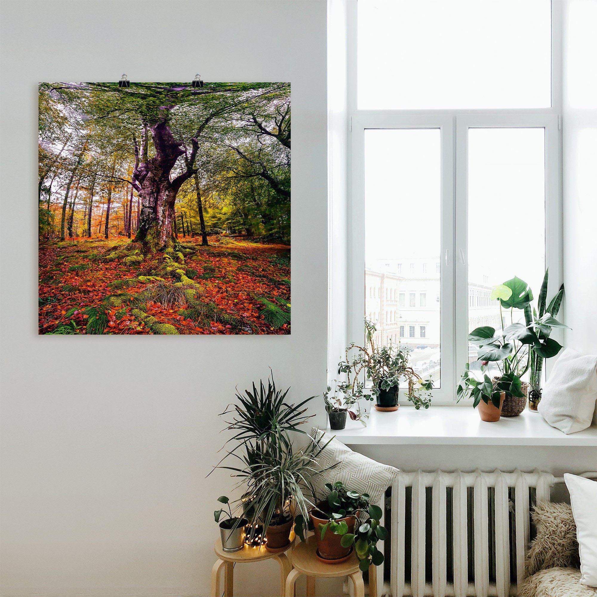Artland Artprint Boom in het bos als artprint op linnen, poster in verschillende formaten maten