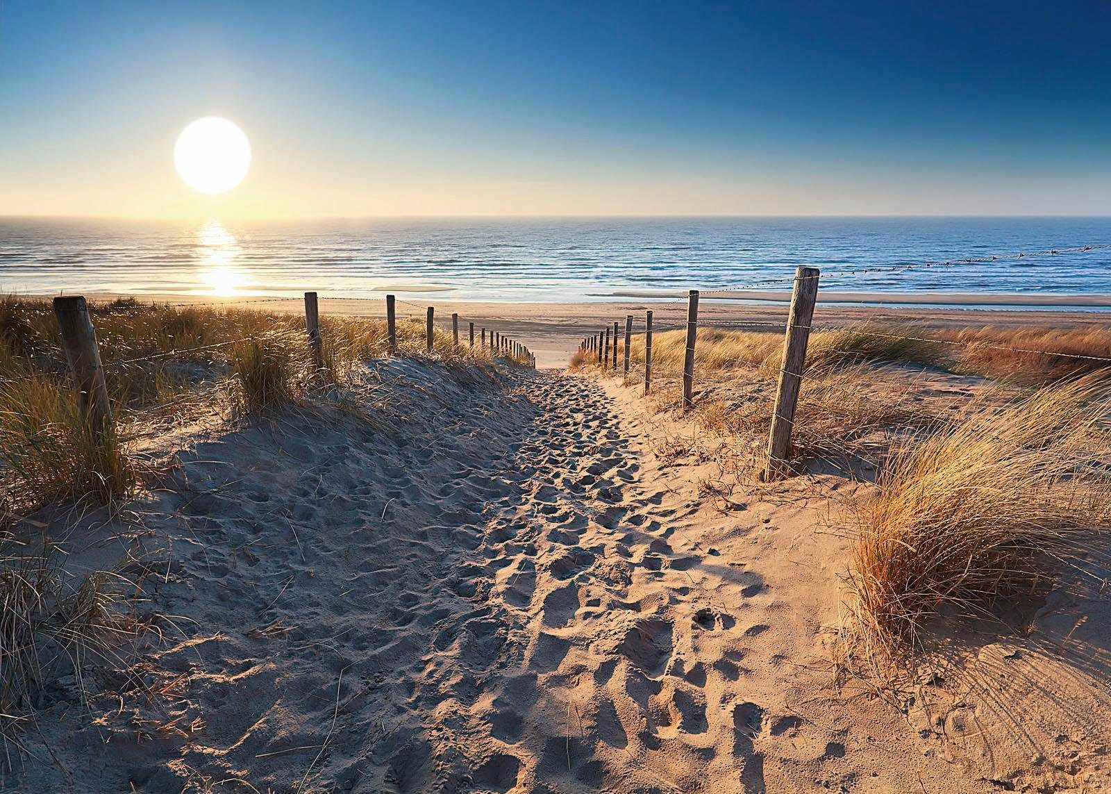 Reinders! Decoratief paneel Duinweg naar zee