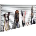 home affaire decoratief paneel most wanted dogs wit