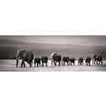 reinders! artprint olifantenparade grijs