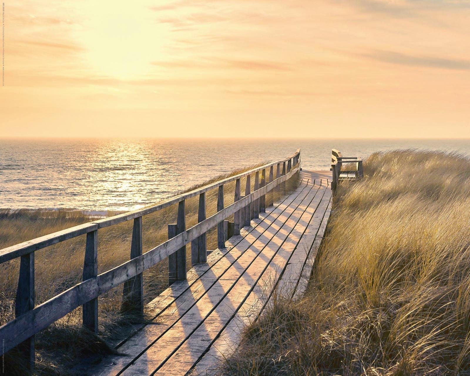 Reinders! Decoratief paneel Strandweg