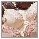 Petite fleur Push-up-bh PETITE FLEUR push-up-bh met beugel in aantrekkelijke multipack, lingerie (3-delig, Set van 3)