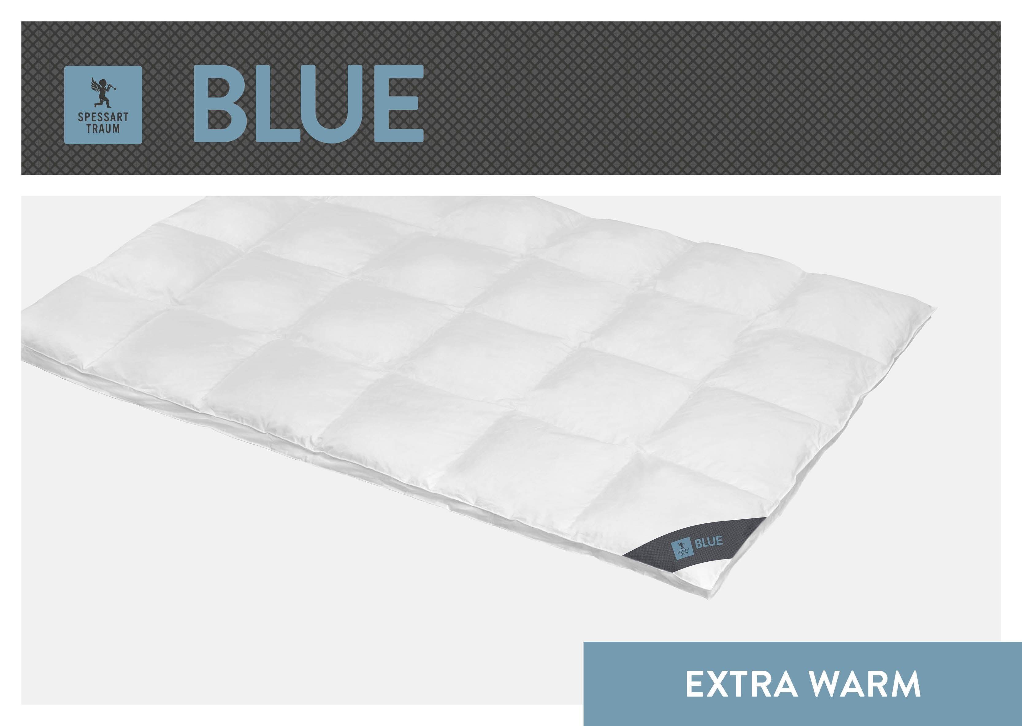 SPESSARTTRAUM Donzen dekbed Blauw geproduceerd in duitsland, geschikt voor mensen met allergieën Warm