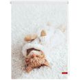 lichtblick rolgordijn met zijbediening klemmfix digitaal sleepy cat gedessineerd (1 stuk) wit