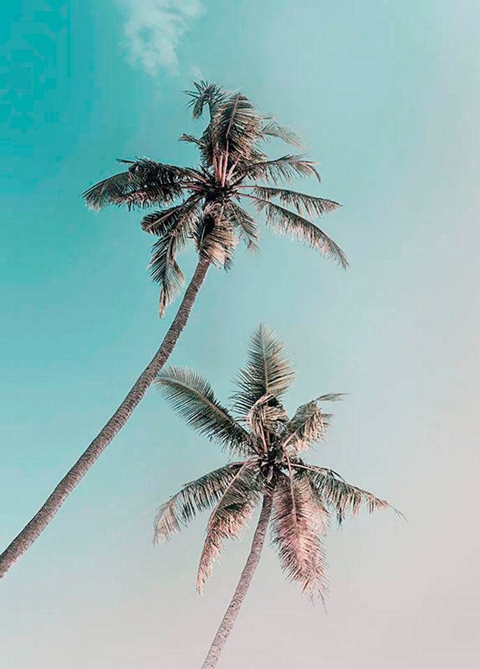 Komar Wanddecoratie Miami Palms Wanddecoratie - zonder lijst (1 stuk)