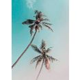 komar poster miami palms hoogte: 70 cm multicolor