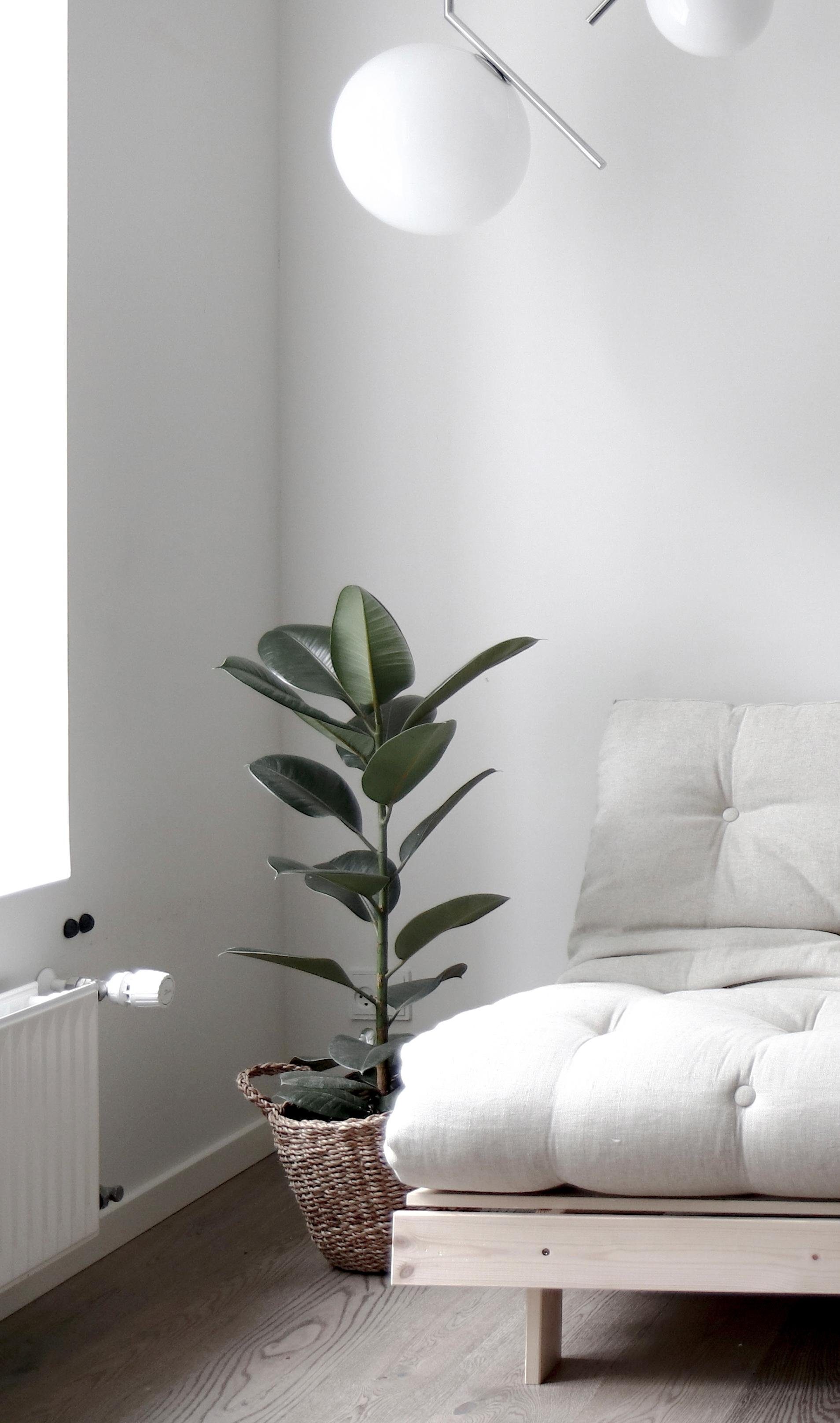 Karup Slaapbank Daybed Roots Slaapbank – ??Gastenbed & Bank van FSC®-Grenen Ligoppervlak 90/140/160 x200 cm, FSC® gecertificeerd grenenhout