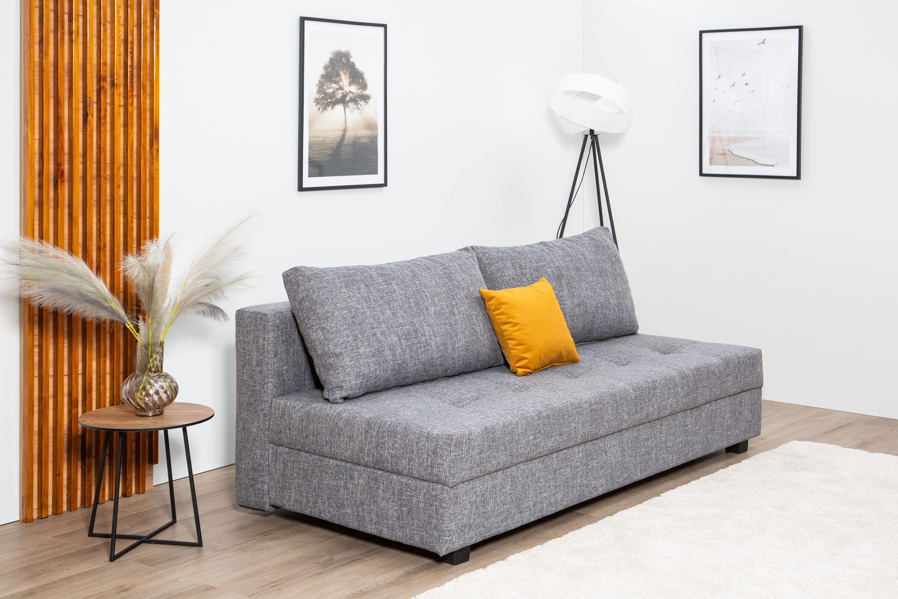 COLLECTION AB Slaapbank DARIA inclusief slaapfunctie en bedlade Slaapbank, bedfunctie, bedlade, inclusief rugkussens, veerkern