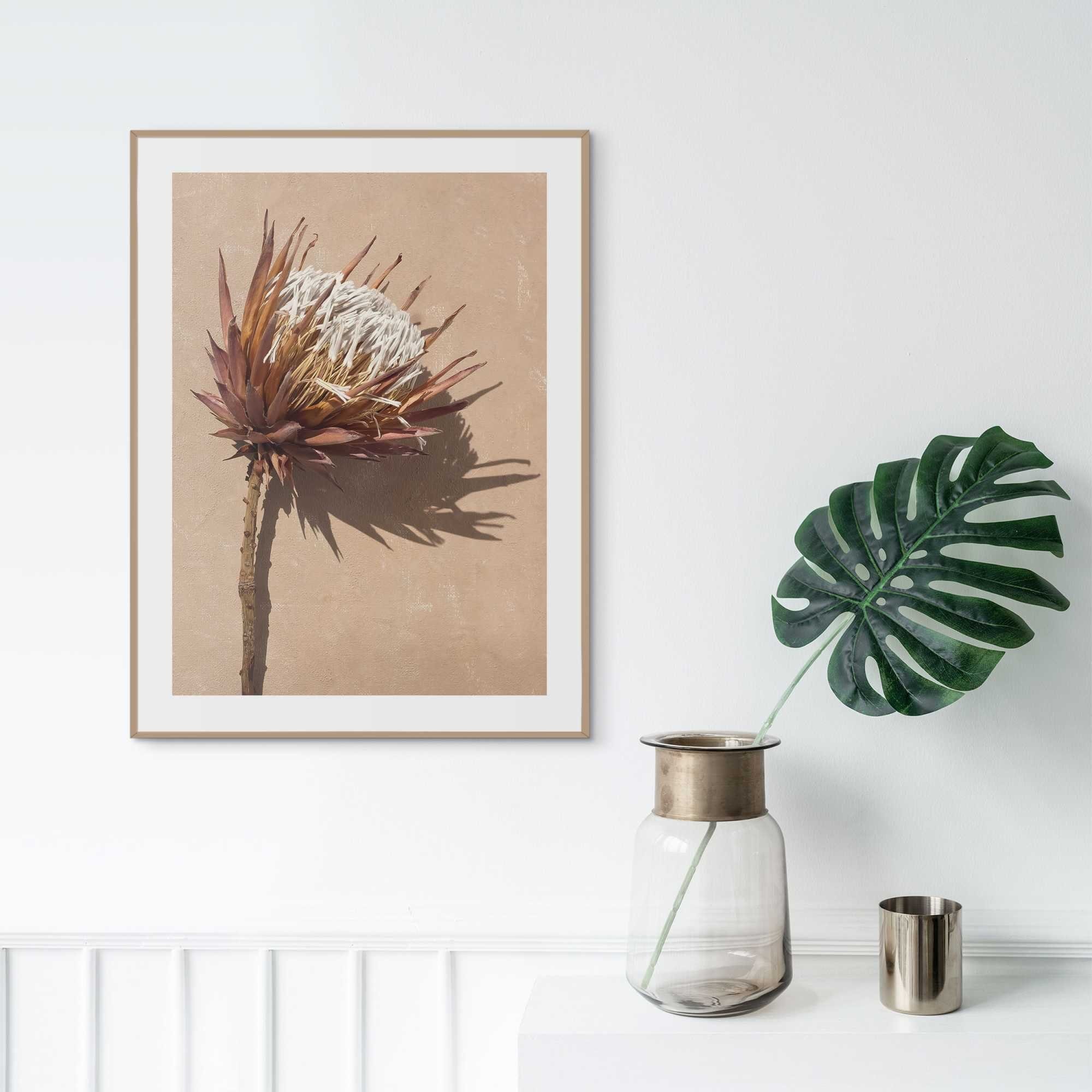 Reinders! Poster Protea bloem
