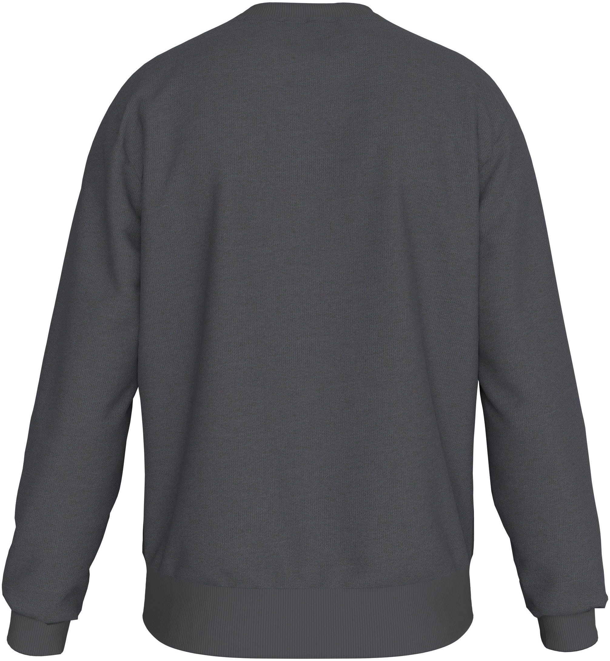 Calvin Klein Sweatshirt BT_OFF PLACEMENT LOGO SWEATSHIRT in grote maten met logo-opschrift
