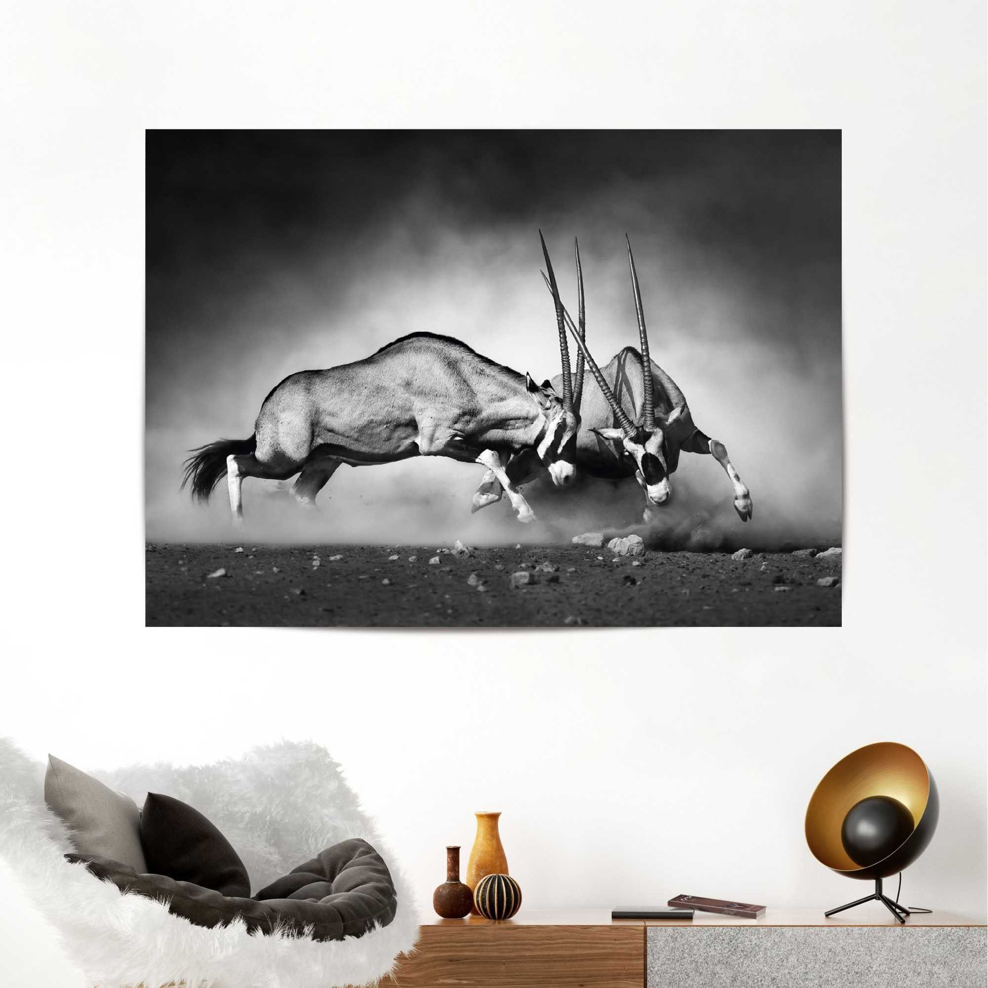 OTTO Gemsbok | Reinders! de online in Poster shop
