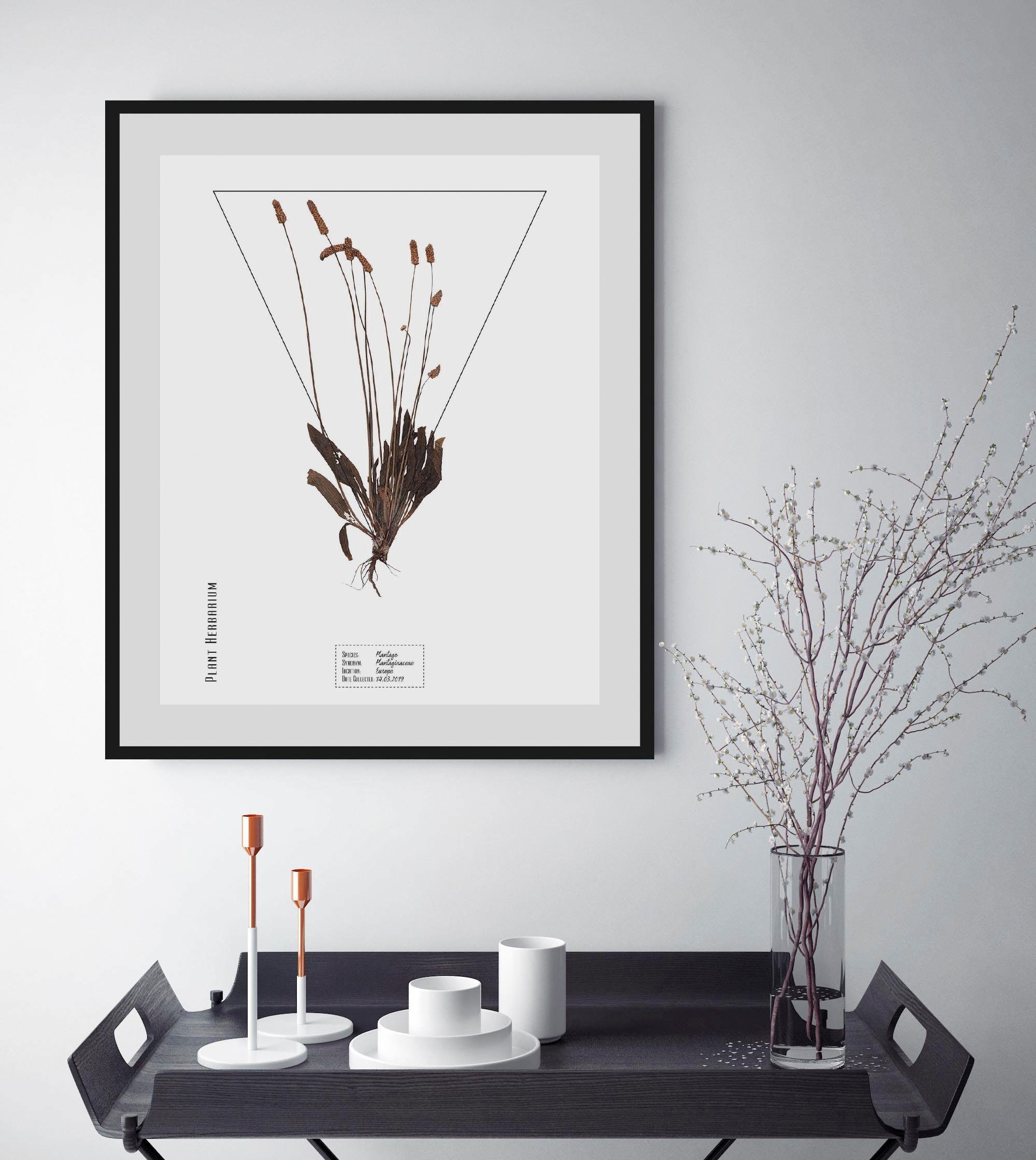 andas Wanddecoratie Plant met frame