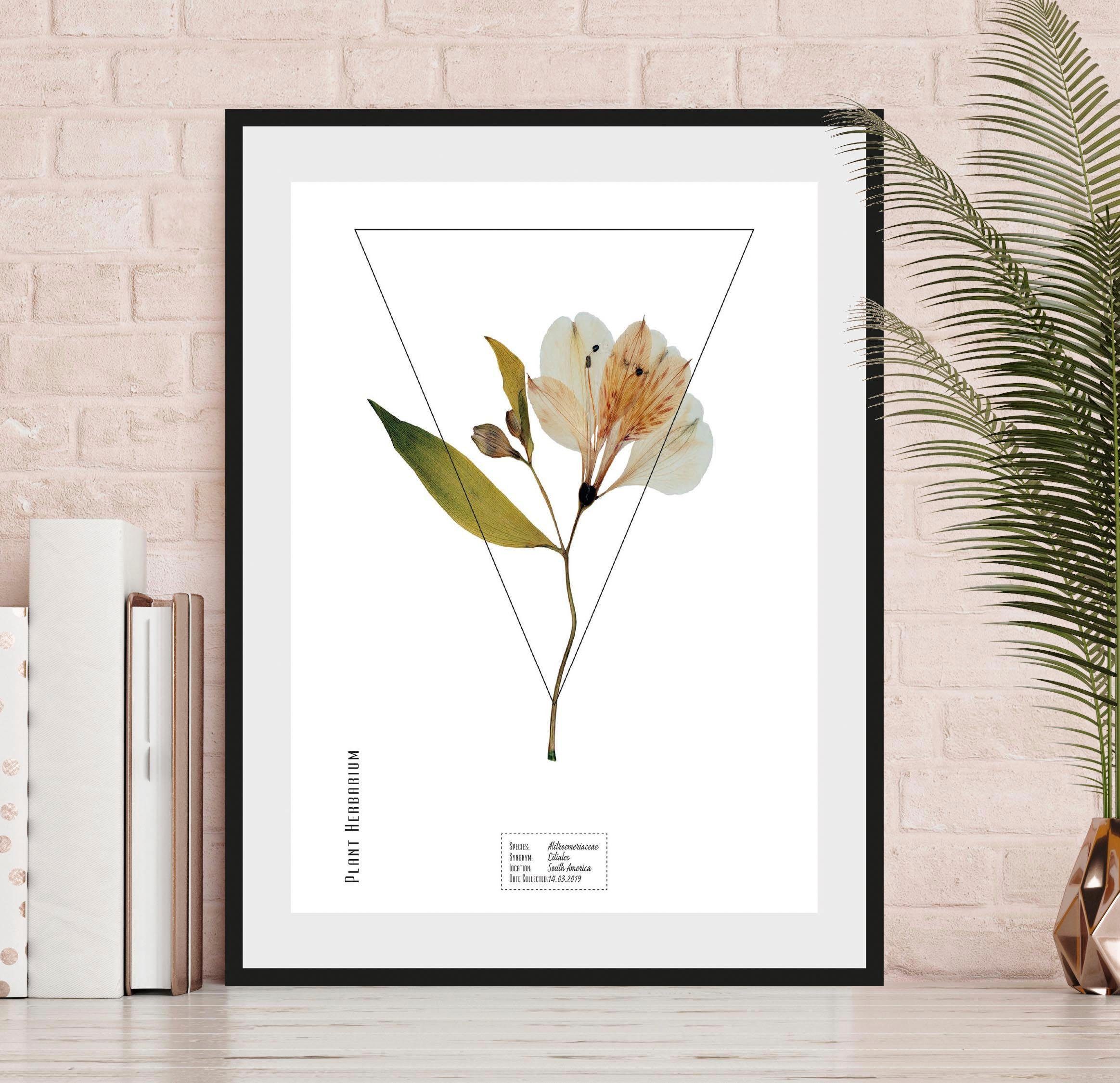 andas Wanddecoratie Plant met frame